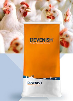 ALPHASTART_BROILERS_DEVENISH