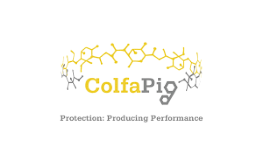 COLFA_PIG_LOGO